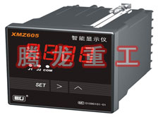 溫度表、數(shù)字顯示儀、濕度表